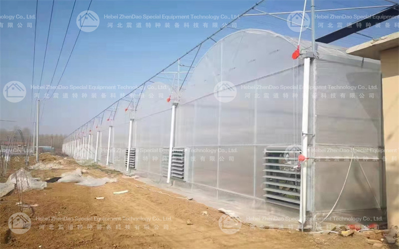 The Greenhouse: Architecture of Abundance